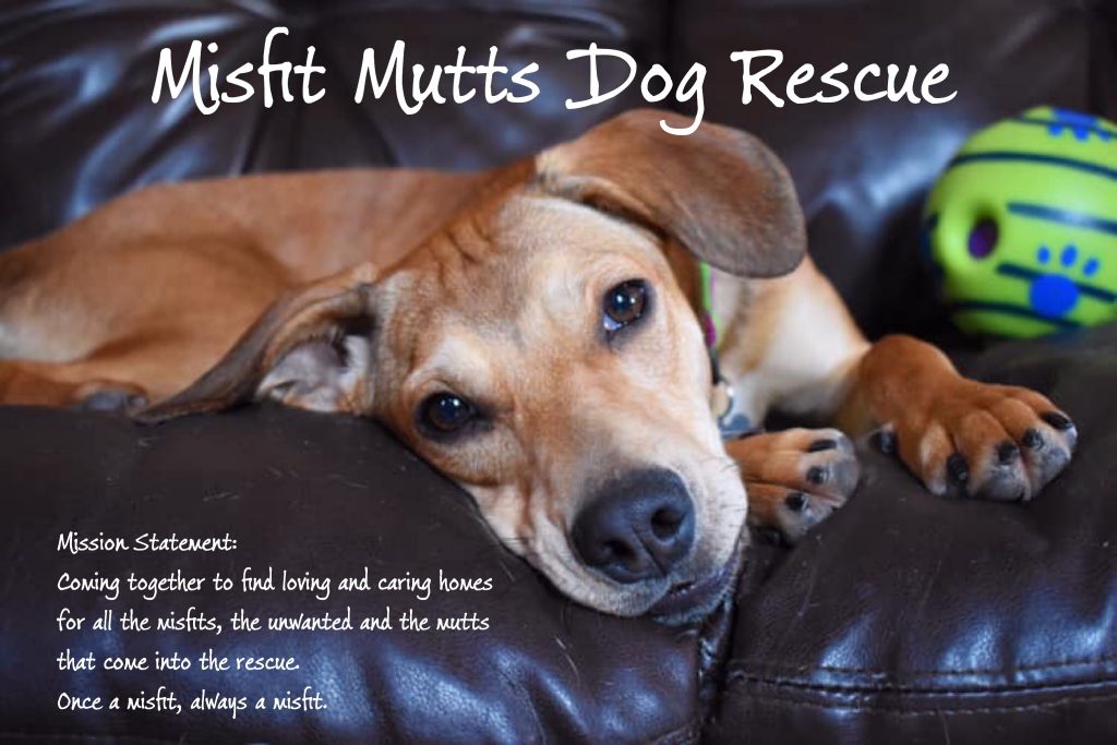 Misfit Mutts Dog Rescue